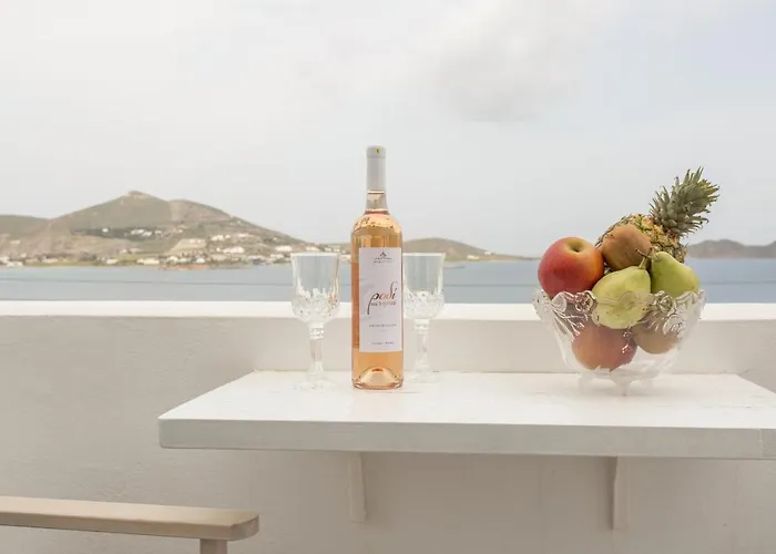 Irini Πανσιόν Νάουσα